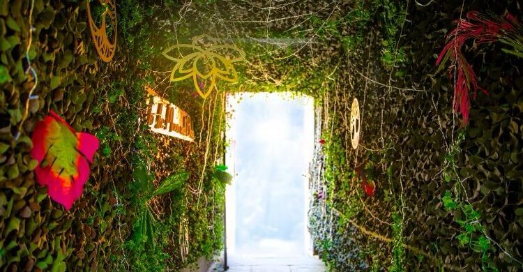 Imagen