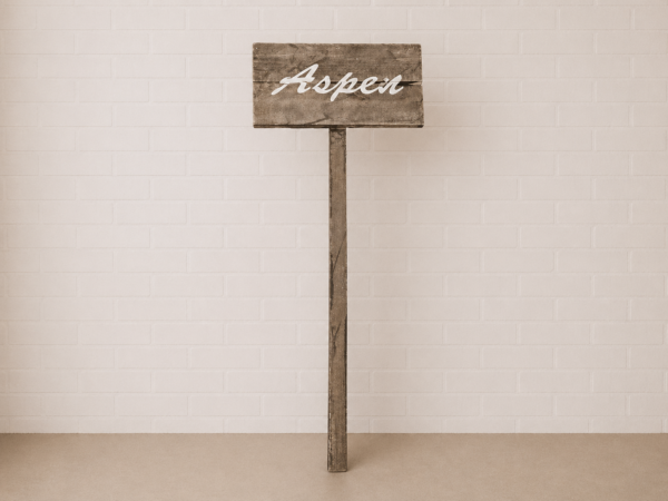 H - Signage - Directional Sign - Alpine - Visual Architects
