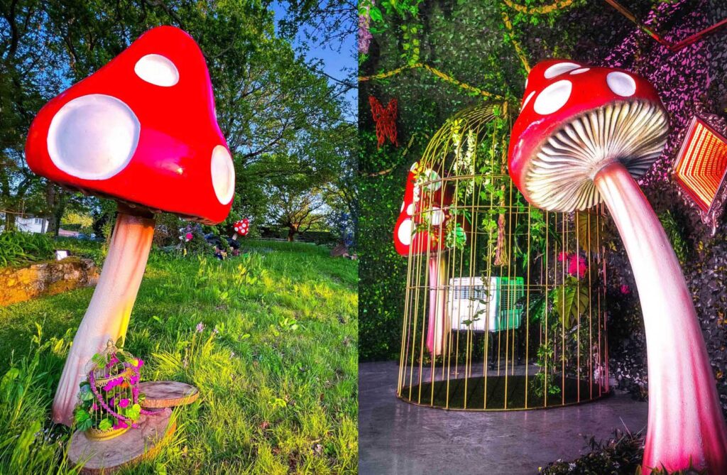 Alice in wonderland event decor (13) copy