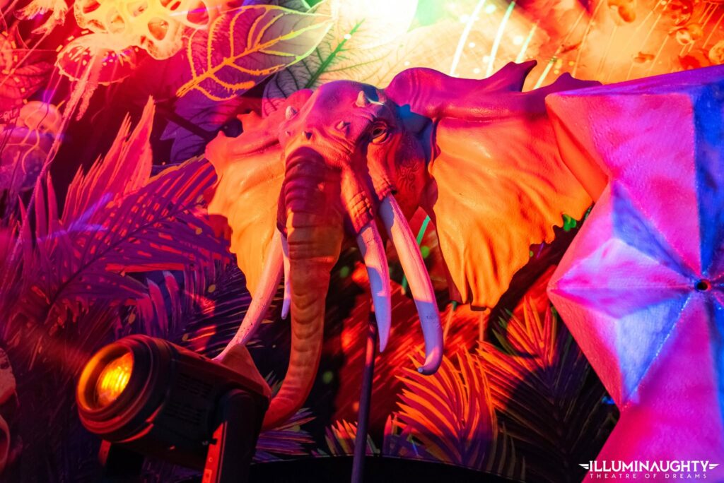 Utopia event decor (8)